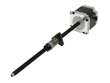 Fixed Screw